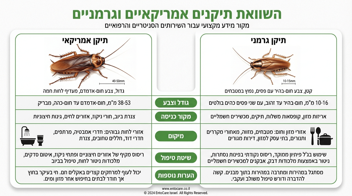 השוואה ויזואלית בין תיקן אמריקאי לתיקן גרמני לצורך זיהוי וטיפול מתאים