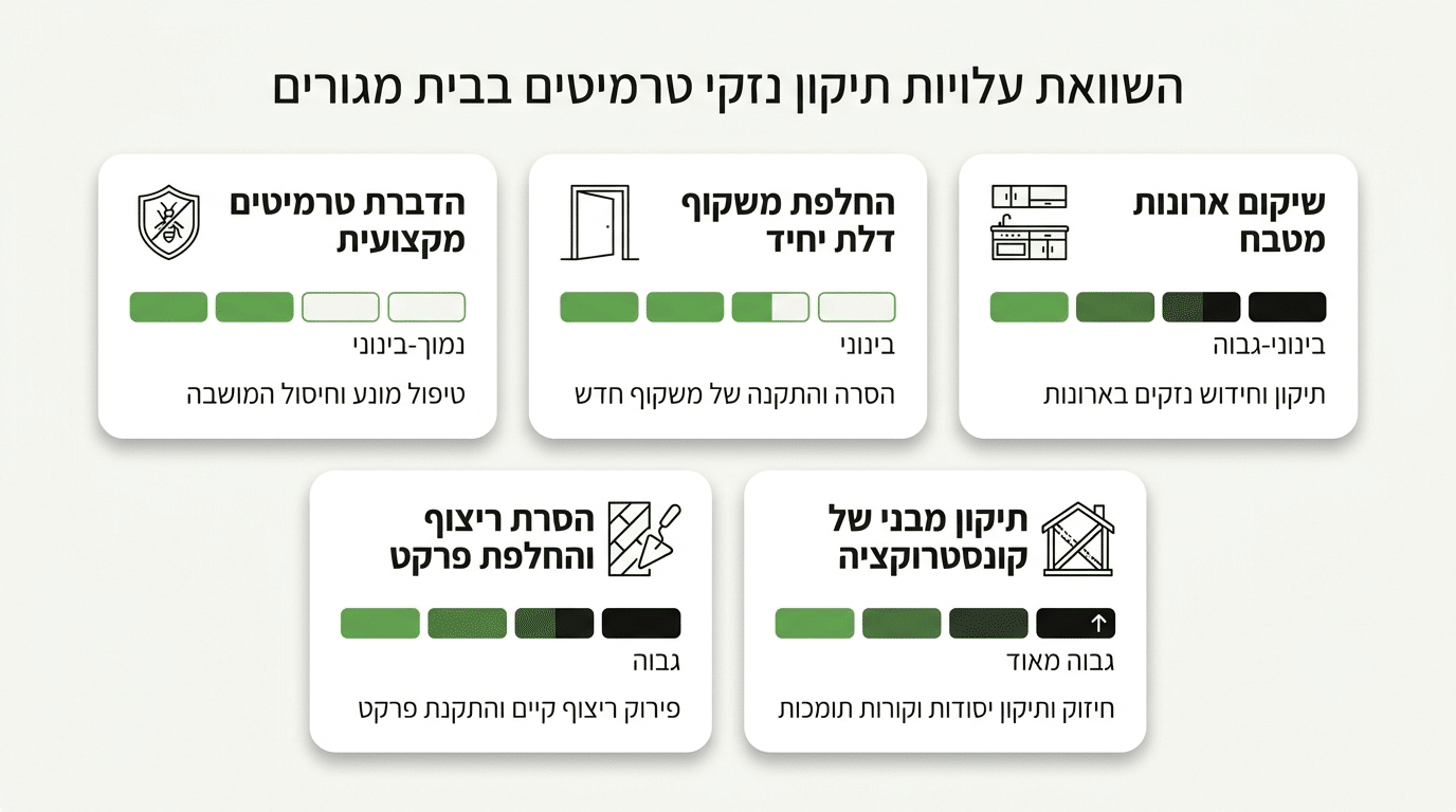 עלות תיקון נזקי טרמיטים – מה משפיע על המחיר?
