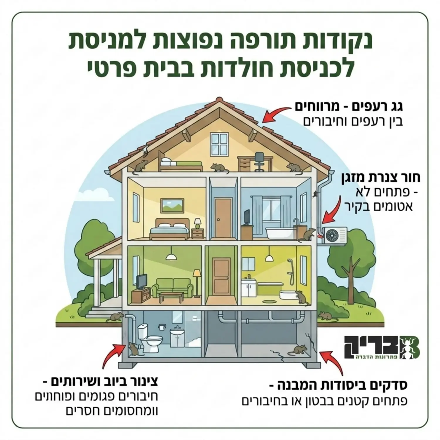אינפוגרפיקה המציגה חתך של בית פרטי עם חצים אדומים המצביעים על נקודות התורפה הנפוצות לכניסת חולדות: גג רעפים, חור צנרת מזגן, צינור ביוב ושירותים, וסדקים ביסודות המבנה