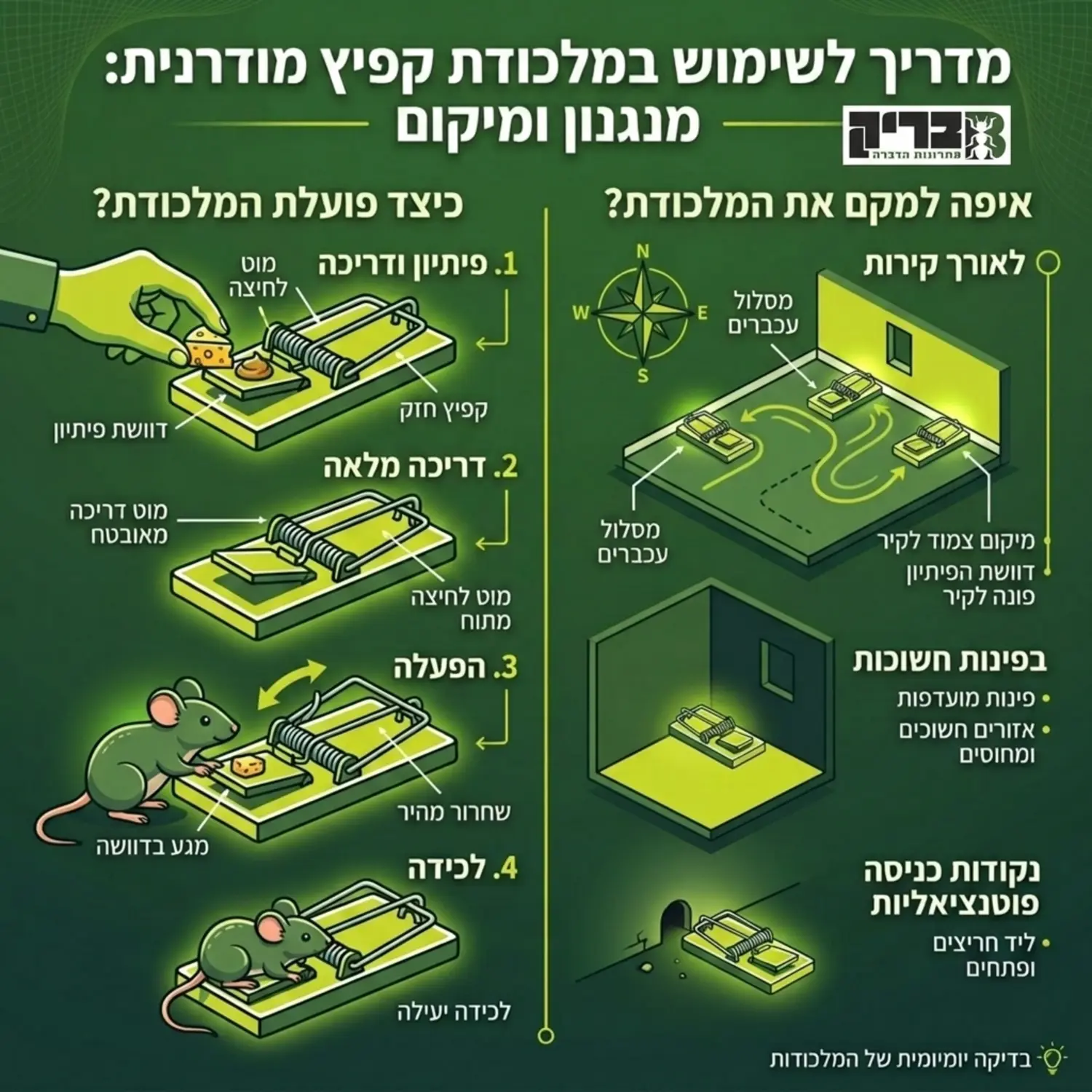 אינפוגרפיקה המציגה את מנגנון הפעולה של מלכודת קפיץ מודרנית ומיקומים מומלצים להצבתה לאורך קירות ובפינות חשוכות