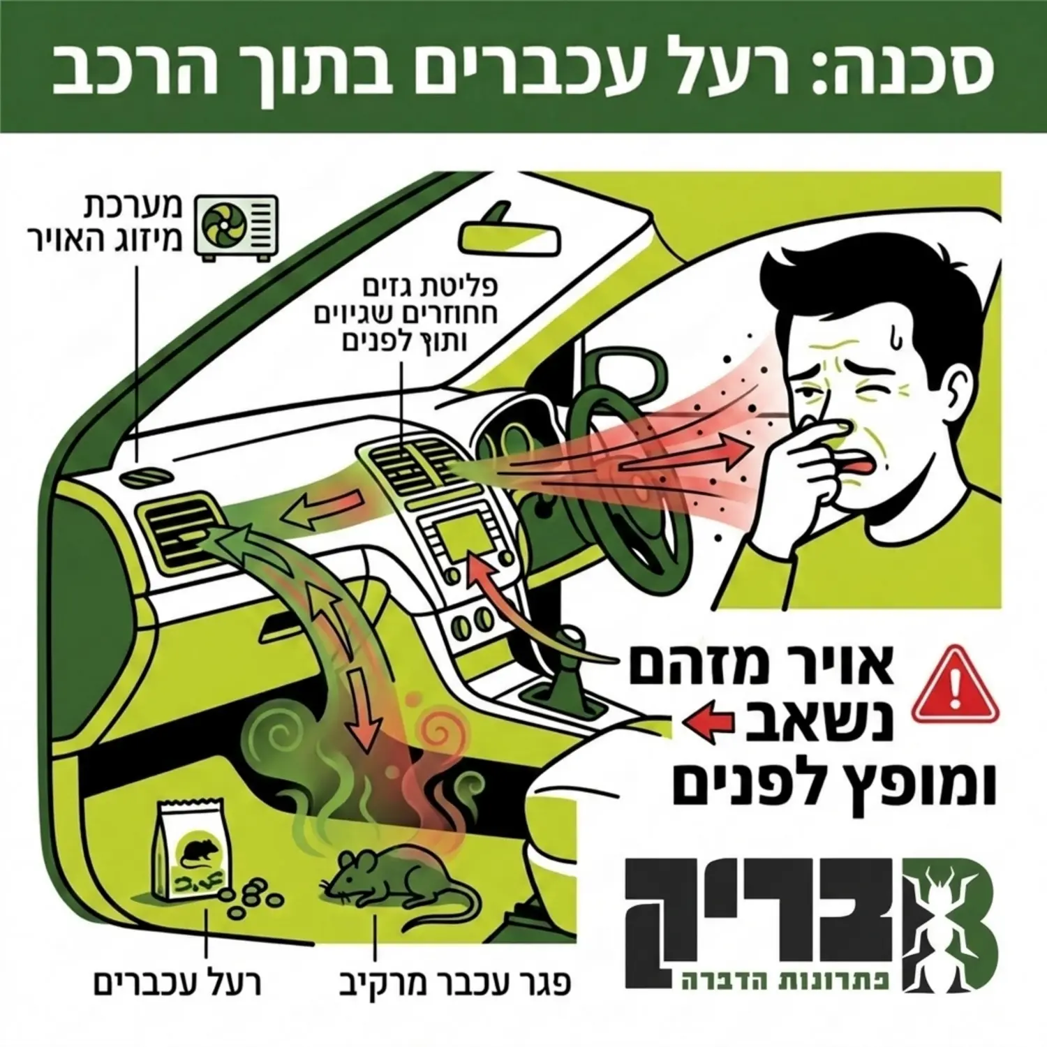 איור המדגים את הסכנה בפיזור רעל עכברים בתוך תא הנוסעים של הרכב, מראה כיצד מערכת המיזוג שואבת את האוויר המזוהם מהפגר ומפזרת אותו ישירות לעבר פני הנהג