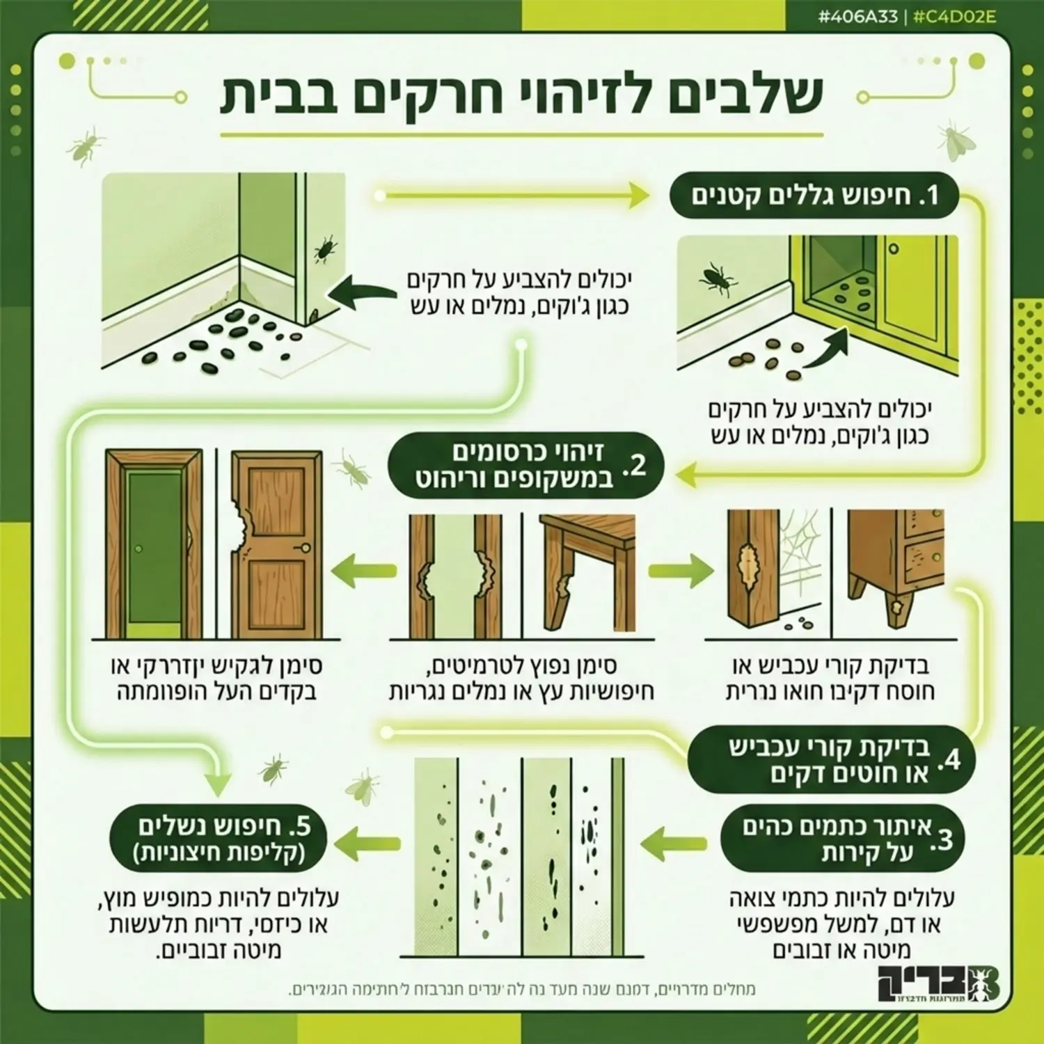 אינפוגרפיקה המציגה את השלבים השונים לזיהוי חרקים בבית, הכוללת איורים של גללים קטנים, כרסומים במשקופים, וכתמים כהים על קירות, עם חיצים המסבירים כל סימן
