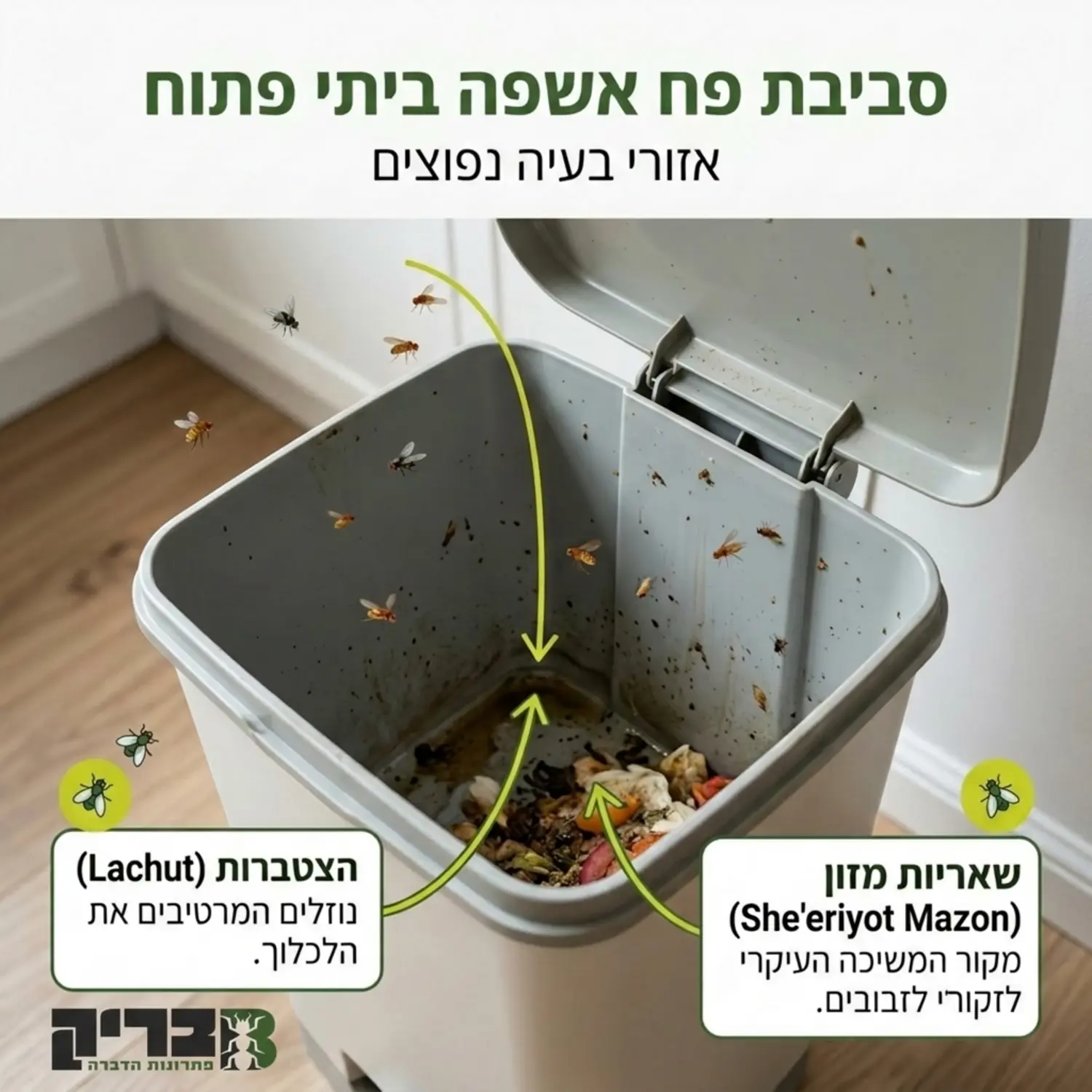 תקריב של סביבת פח אשפה ביתי פתוח בחלקו, סביבו מתעופפים זבובונים קטנים, עם חצי הסבר המצביעים על אזורי הצטברות הלחות ושאריות המזון בתחתית הפח