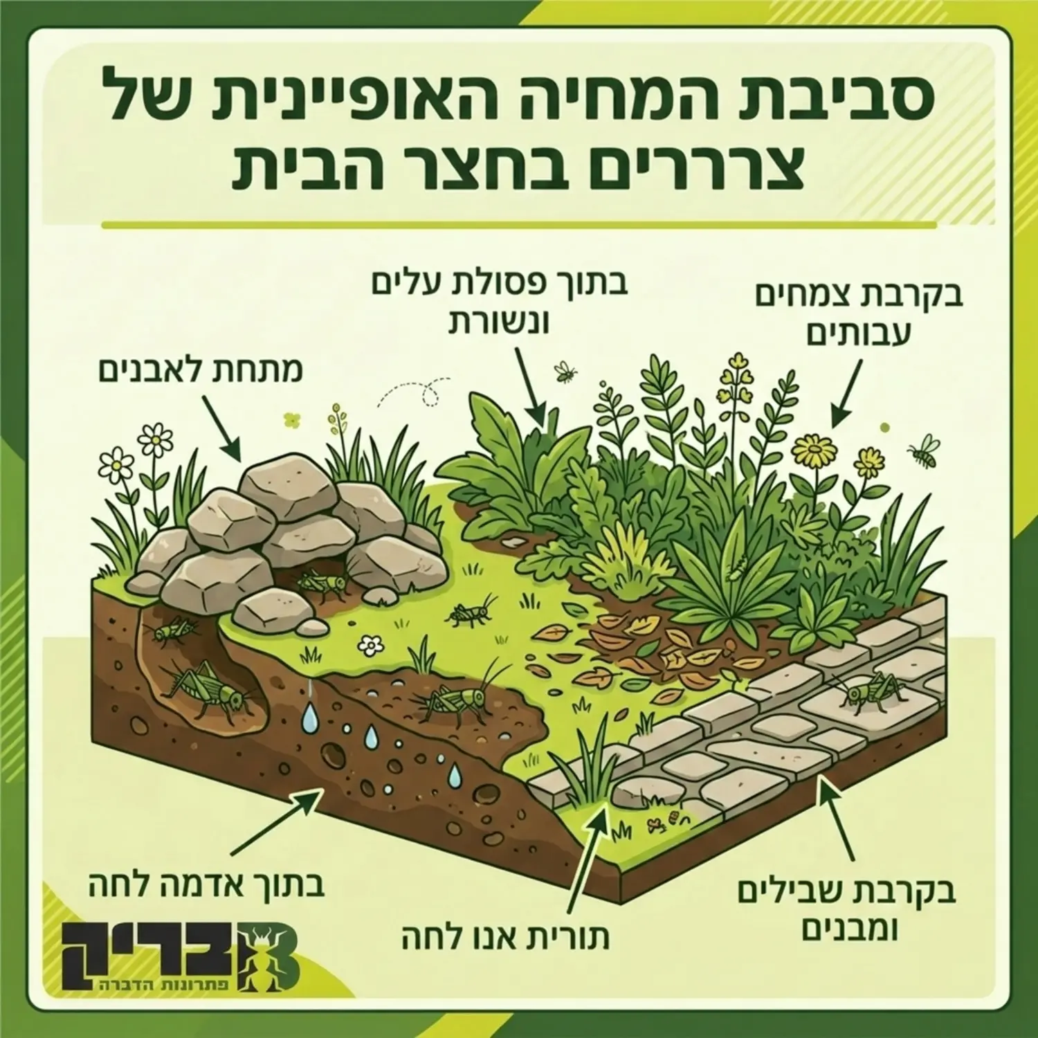 תרשים המציג את סביבת המחיה האופיינית של צרצרים בחצר הבית כולל מקומות מסתור נפוצים כמו מתחת לאבנים בתוך אדמה לחה ובקרבת צמחים עבותים