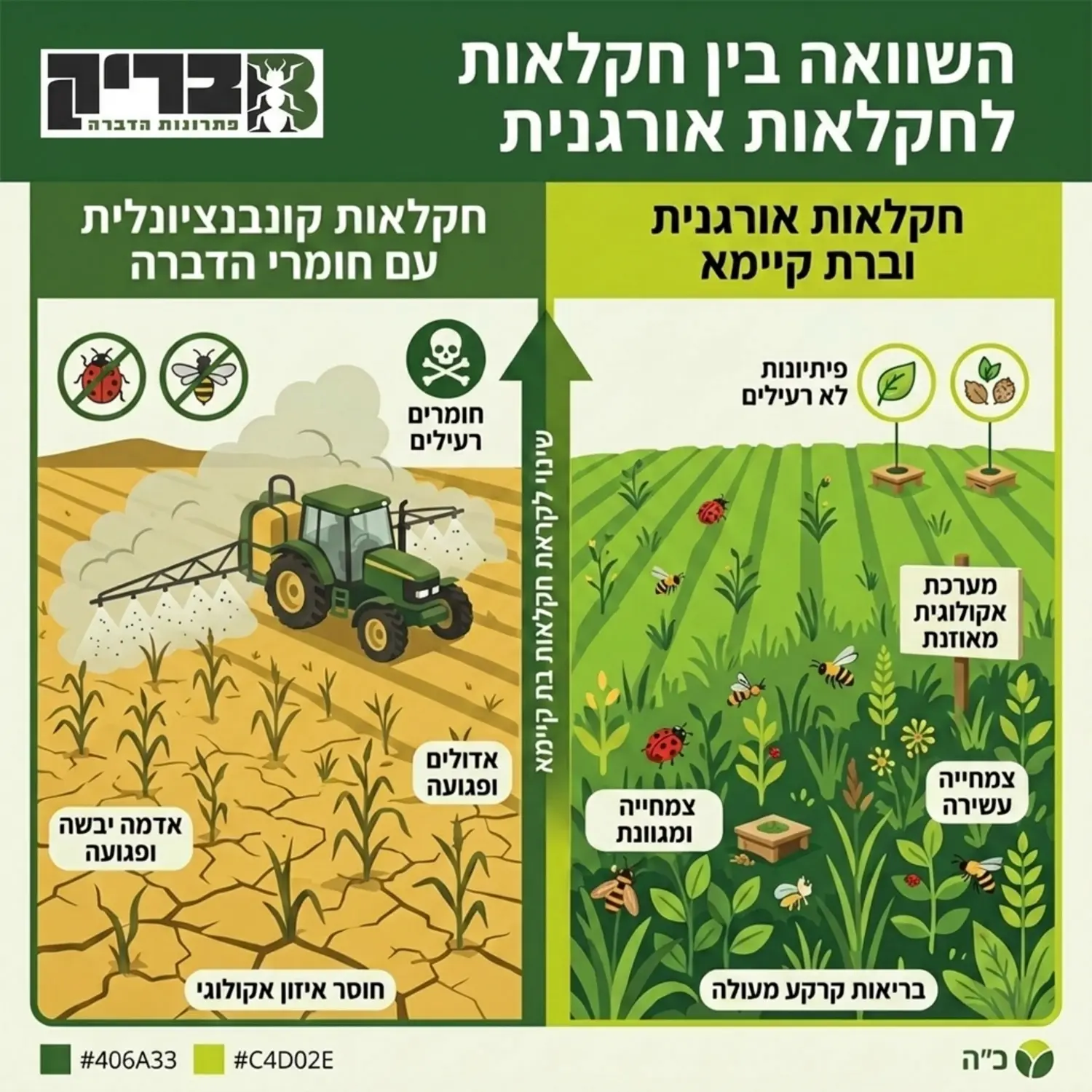 אינפוגרפיקה המחולקת לשניים המראה בצד אחד חלקה חקלאית מרוססת בכימיקלים עם אדמה יבשה, ובצד השני חלקה אורגנית עם פיזור פיתיונות לא רעילים, צמחייה עשירה ומערכת אקולוגית מאוזנת
