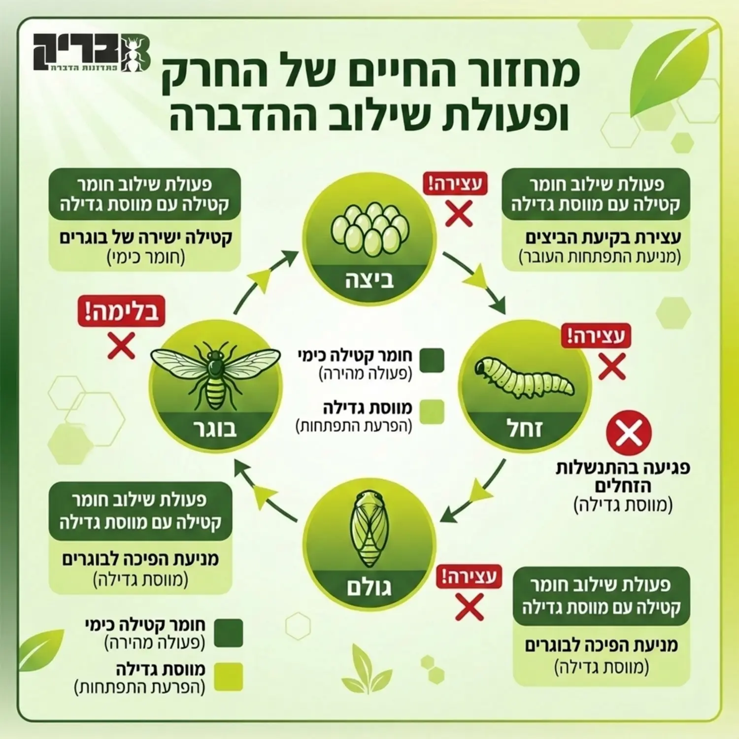 אינפוגרפיקה המציגה את מחזור החיים של חרק החל משלב הביצה דרך הזחל והגולם ועד לבוגר וכיצד שילוב של חומר קטילה כימי עם מווסת גדילה עוצר את ההתפתחות בכל אחד מהשלבים הללו