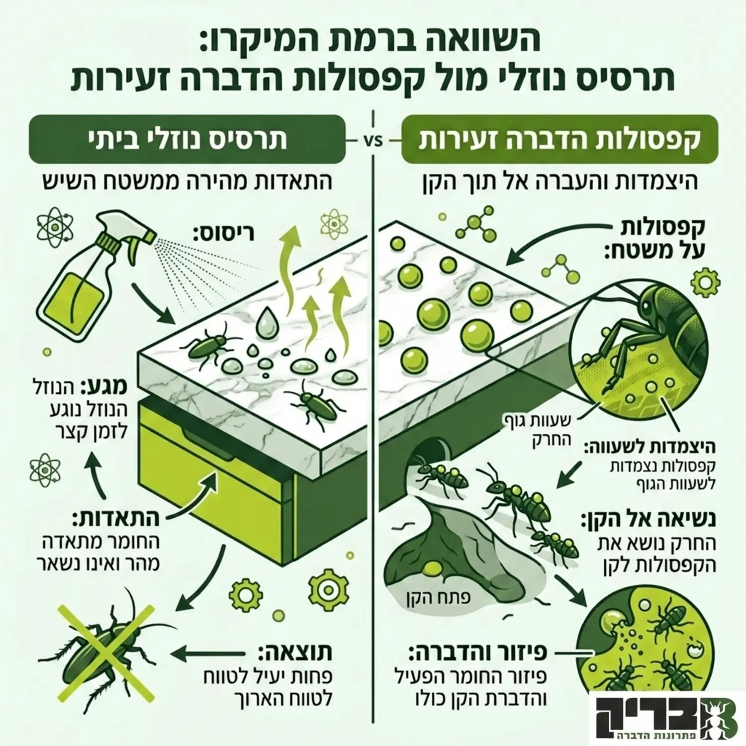 אינפוגרפיקה המציגה את ההבדל ברמת המיקרו בין תרסיס נוזלי ביתי שמתאדה במהירות ממשטח השיש, לבין קפסולות הדברה זעירות שנצמדות לשעוות הגוף של החרק ונישאות אל תוך הקן