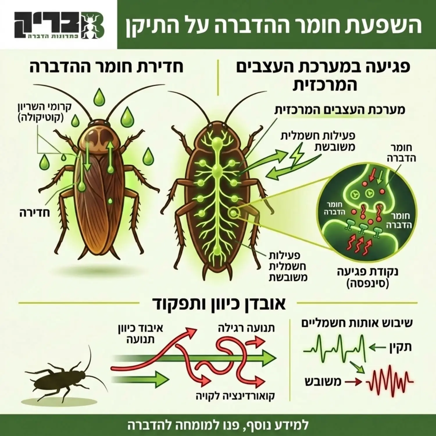 אינפוגרפיקה המדגימה כיצד חומר ההדברה חודר לשריון התיקן ופוגע במערכת העצבים המרכזית שלו, עם חצים המראים את אובדן כיוון התנועה ואת שיבוש האותות החשמליים בגוף החרק