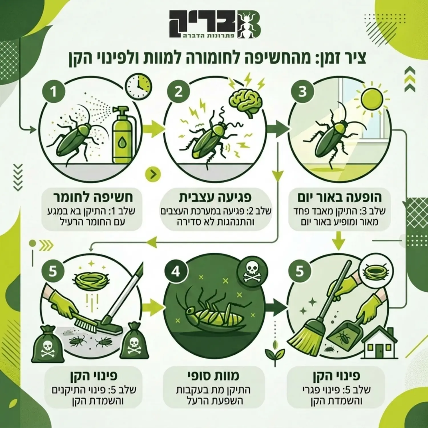 ציר זמן גרפי המציג את השלבים מהרגע שבו התיקן נחשף לחומר ההדברה, דרך שלב הפגיעה העצבית, הופעת החרק באור יום, ועד למוות הסופי ולפינוי הקן