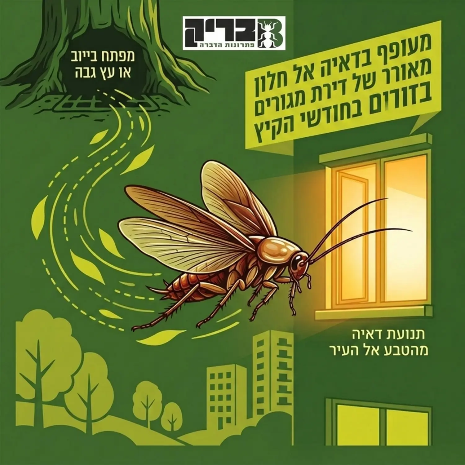 איור של תיקן אמריקאי עם כנפיים פרושות, מציג את תנועת הדאייה שלו מפתח ביוב או עץ גבוה אל עבר חלון מואר של דירת מגורים בחודשי הקיץ