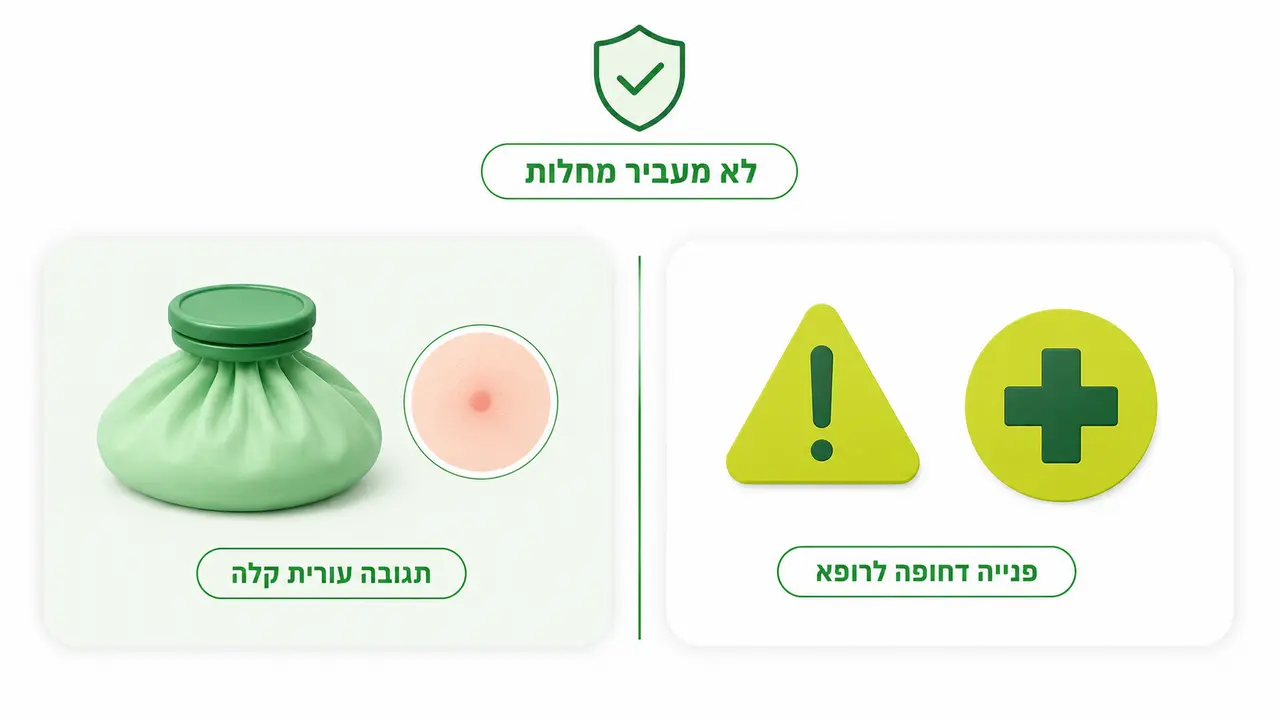 האם עקיצות פשפש מסוכנות